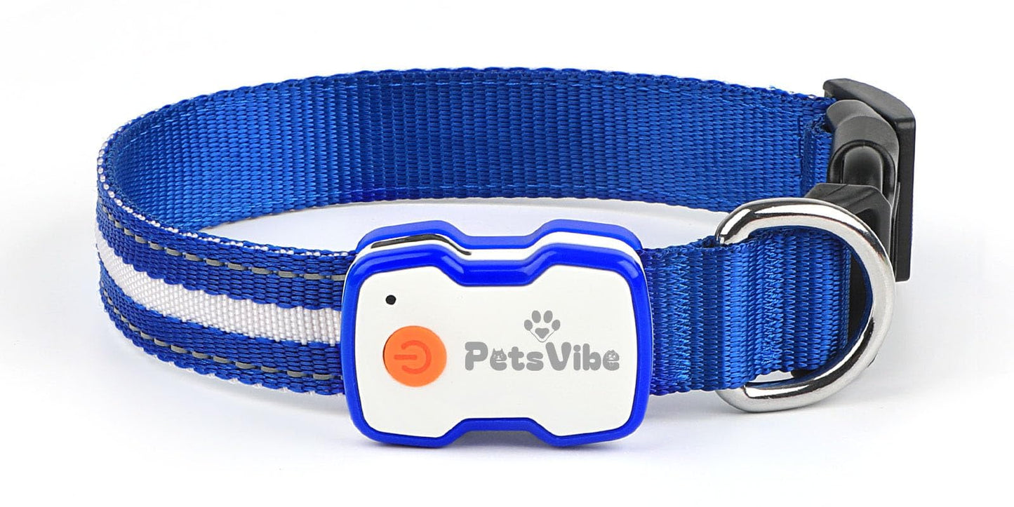 PetsVibe Illuminated Collar for Dogs. USB Rechargeable LED Flashing Dog Collar - Durable, High-Visibility, Eco-Friendly for Safe Night Walks