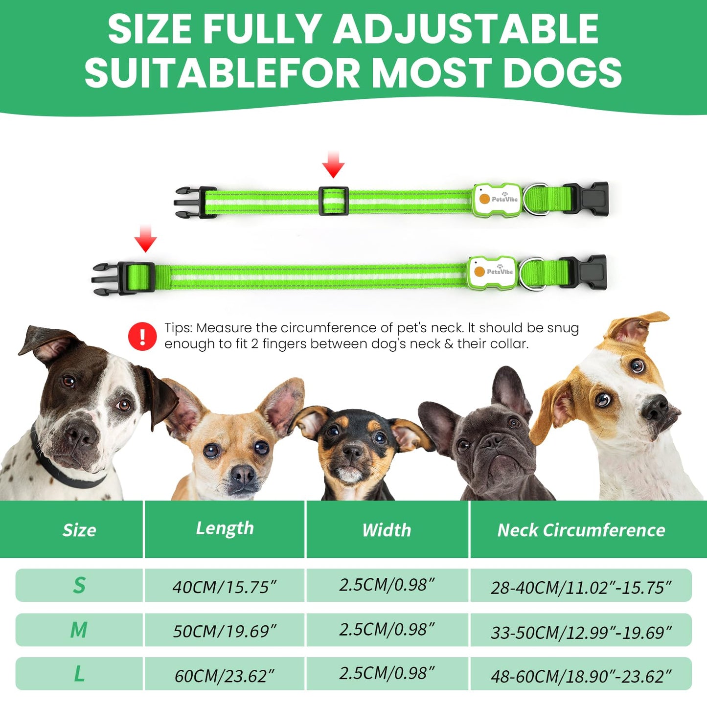 PetsVibe Illuminated Collar for Dogs. USB Rechargeable LED Flashing Dog Collar - Durable, High-Visibility, Eco-Friendly for Safe Night Walks