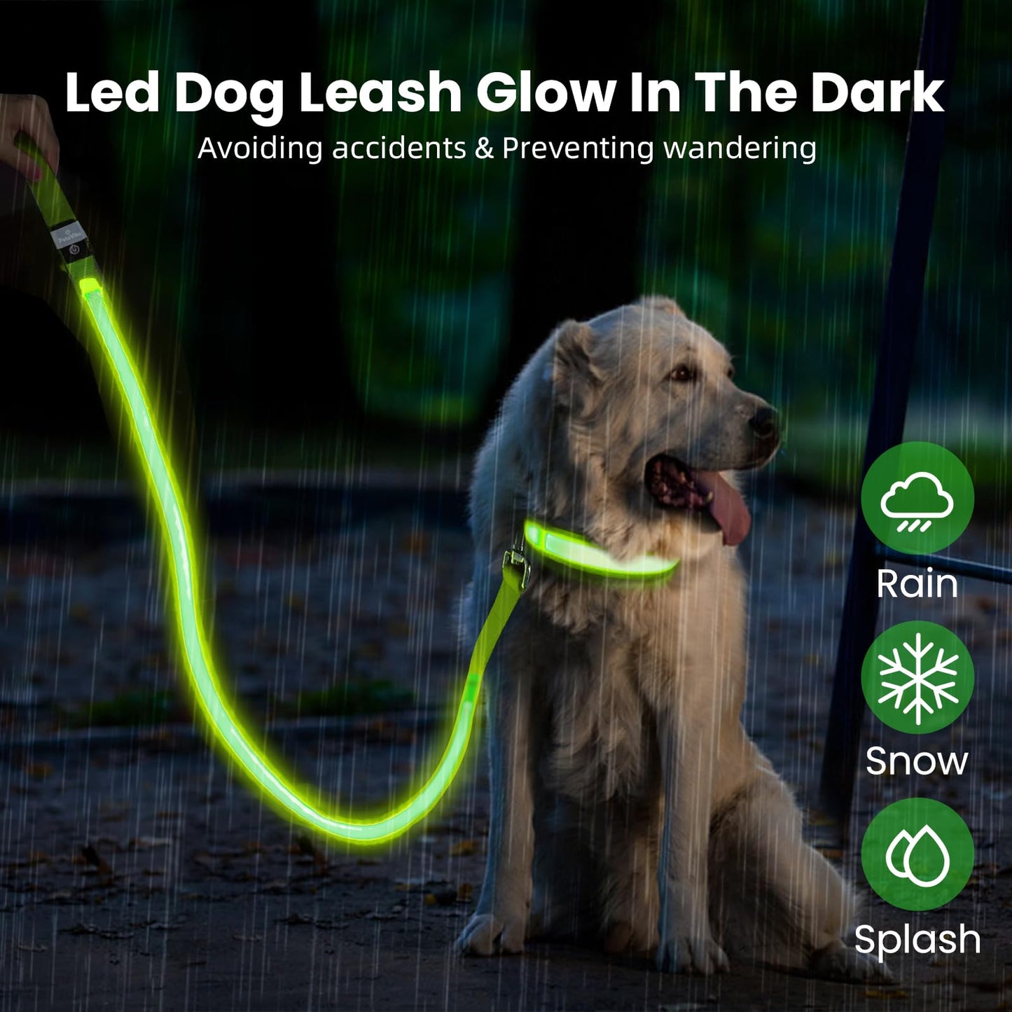 PetsVibe Illuminated lead for dogs. USB Rechargeable LED Flashing Dog Leash - Durable, High-Visibility, Eco-Friendly for Safe Night Walks