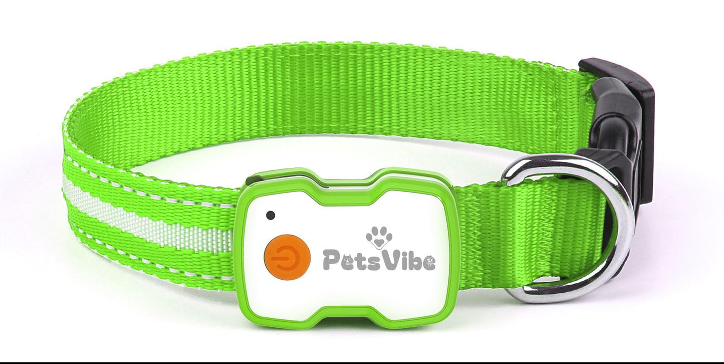 PetsVibe Illuminated Collar for Dogs. USB Rechargeable LED Flashing Dog Collar - Durable, High-Visibility, Eco-Friendly for Safe Night Walks