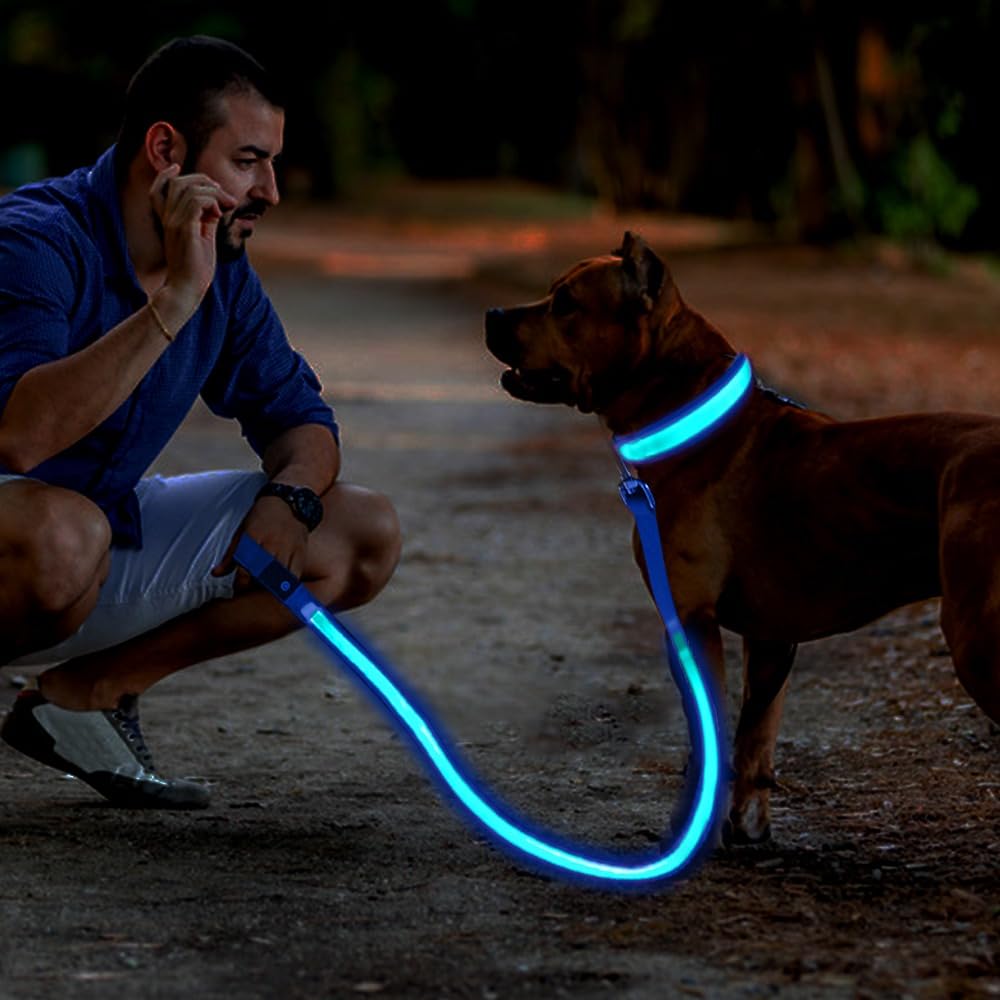 PetsVibe Illuminated lead for dogs. USB Rechargeable LED Flashing Dog Leash - Durable, High-Visibility, Eco-Friendly for Safe Night Walks