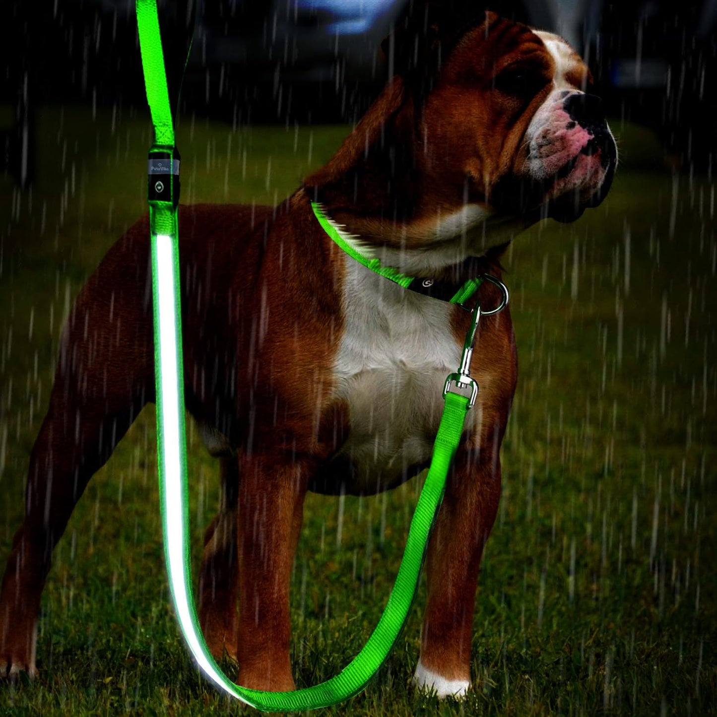 PetsVibe Illuminated lead for dogs. USB Rechargeable LED Flashing Dog Leash - Durable, High-Visibility, Eco-Friendly for Safe Night Walks