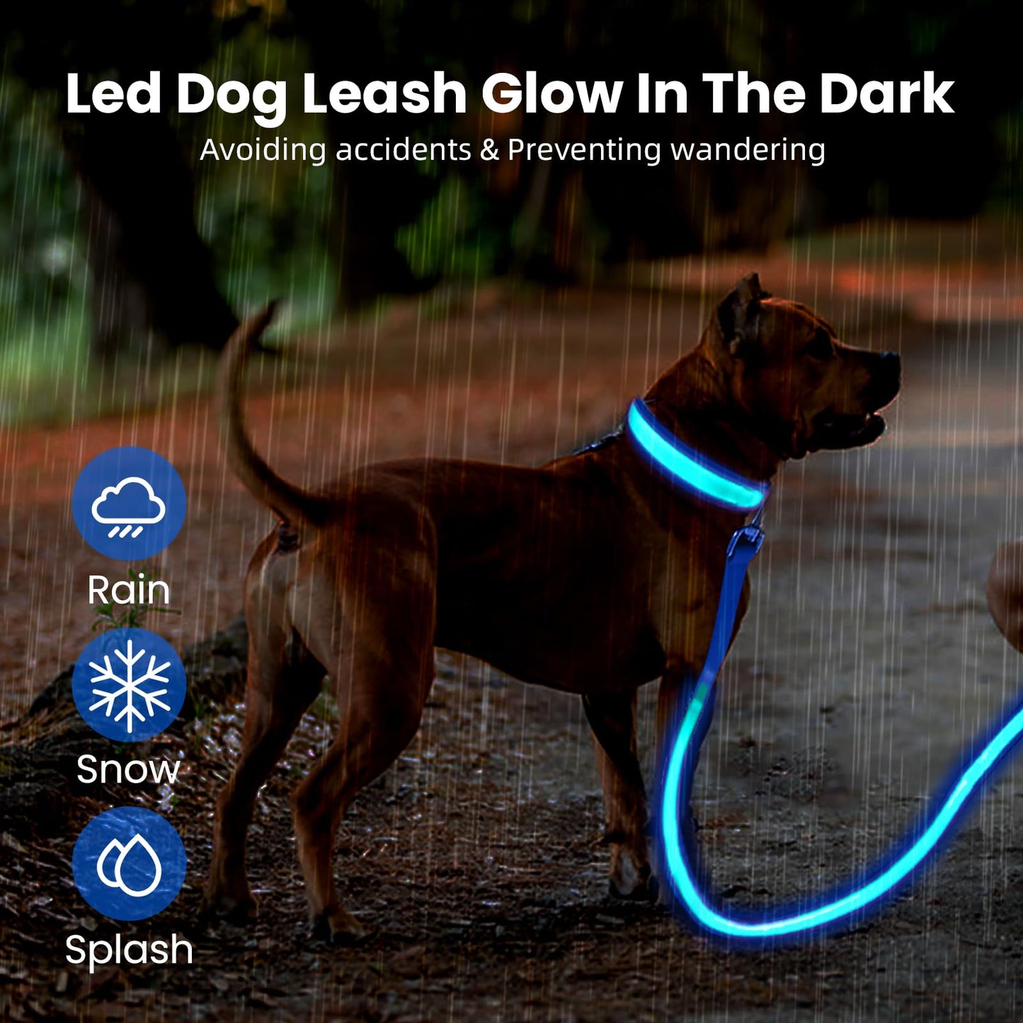 PetsVibe Illuminated lead for dogs. USB Rechargeable LED Flashing Dog Leash - Durable, High-Visibility, Eco-Friendly for Safe Night Walks