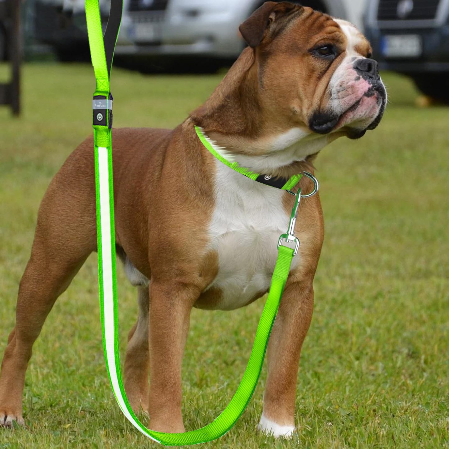 PetsVibe Illuminated lead for dogs. USB Rechargeable LED Flashing Dog Leash - Durable, High-Visibility, Eco-Friendly for Safe Night Walks