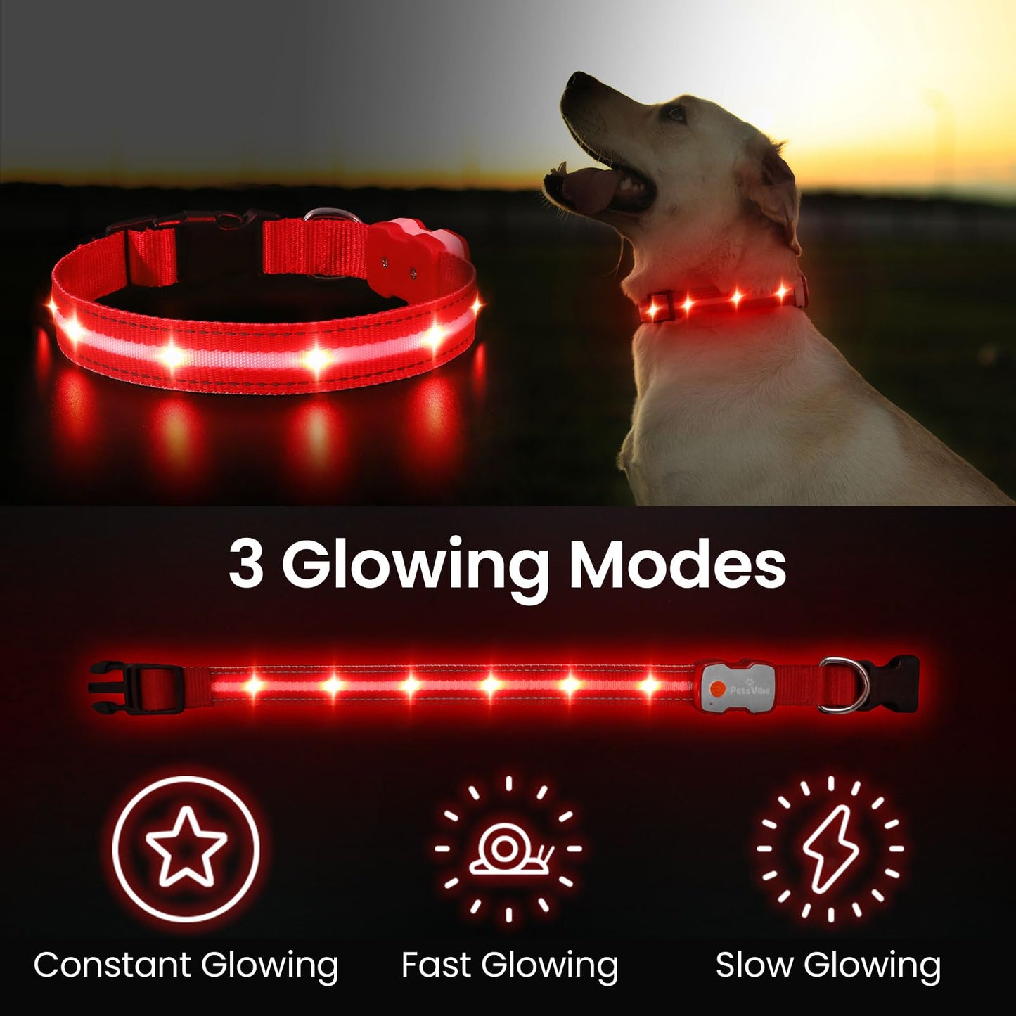 PetsVibe Illuminated Collar for Dogs. USB Rechargeable LED Flashing Dog Collar - Durable, High-Visibility, Eco-Friendly for Safe Night Walks