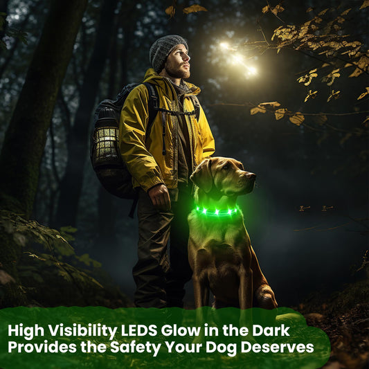 PetsVibe Illuminated Collar for Dogs. USB Rechargeable LED Flashing Dog Collar - Durable, High-Visibility, Eco-Friendly for Safe Night Walks