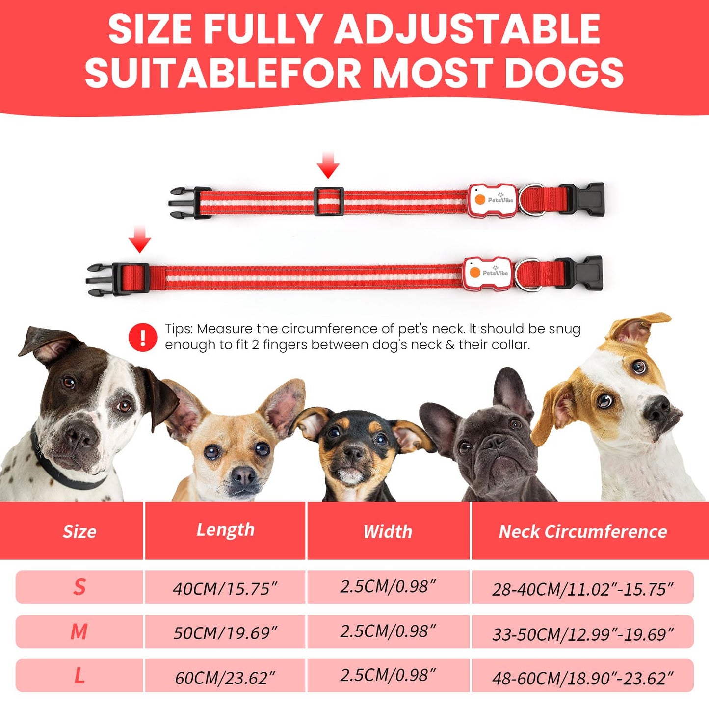 PetsVibe Illuminated Collar for Dogs. USB Rechargeable LED Flashing Dog Collar - Durable, High-Visibility, Eco-Friendly for Safe Night Walks