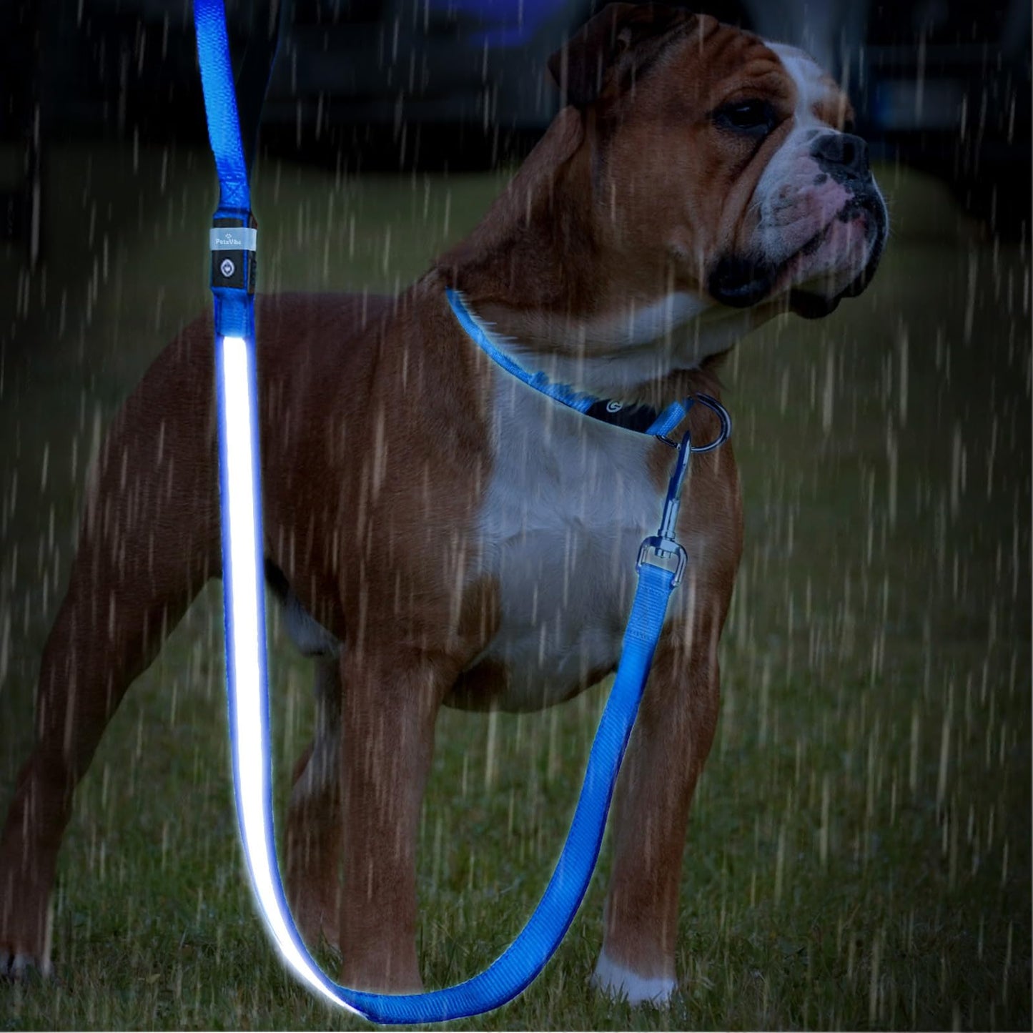 PetsVibe Illuminated lead for dogs. USB Rechargeable LED Flashing Dog Leash - Durable, High-Visibility, Eco-Friendly for Safe Night Walks