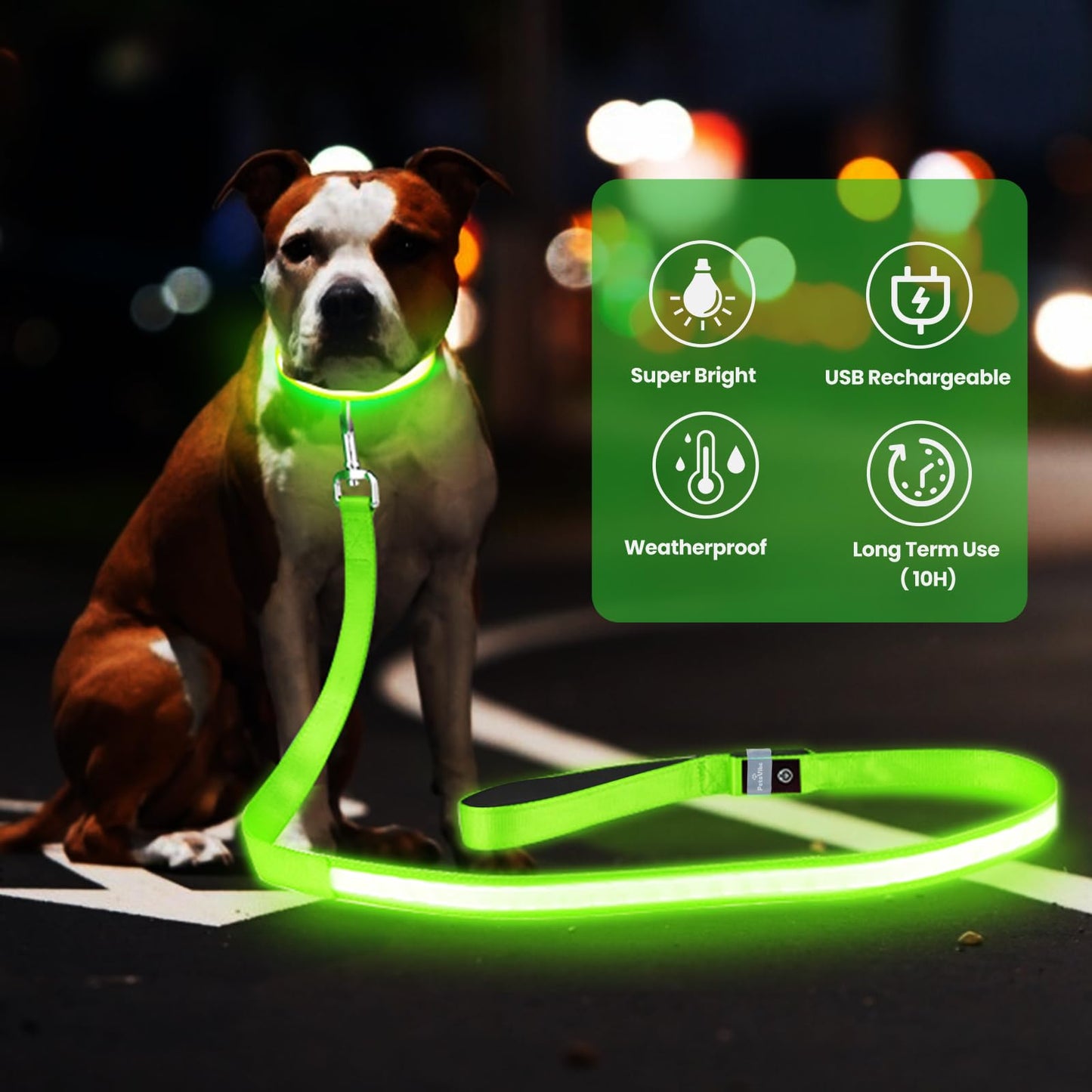 PetsVibe Illuminated lead for dogs. USB Rechargeable LED Flashing Dog Leash - Durable, High-Visibility, Eco-Friendly for Safe Night Walks