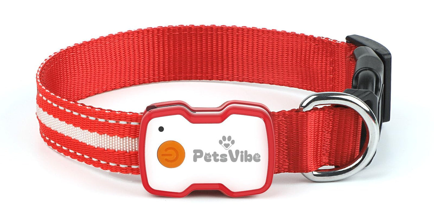 PetsVibe Illuminated Collar for Dogs. USB Rechargeable LED Flashing Dog Collar - Durable, High-Visibility, Eco-Friendly for Safe Night Walks