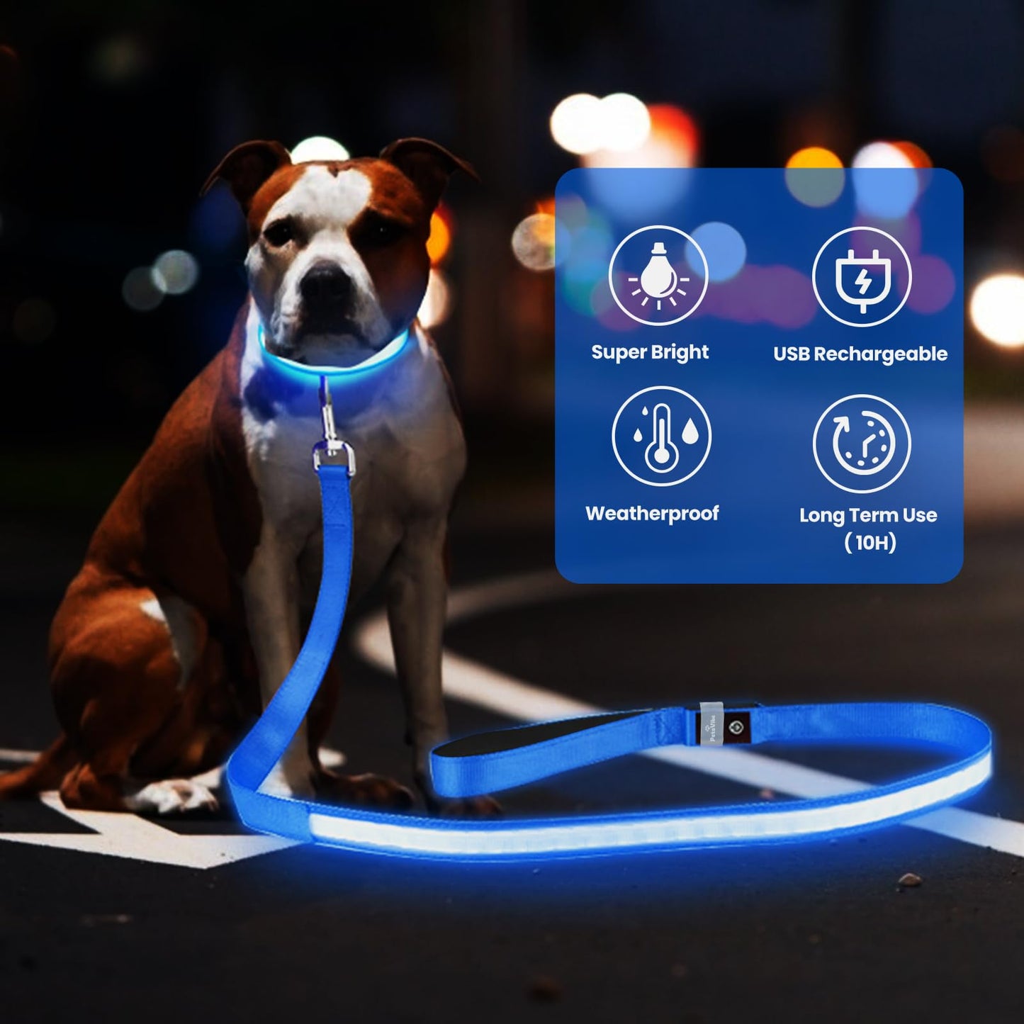 PetsVibe Illuminated lead for dogs. USB Rechargeable LED Flashing Dog Leash - Durable, High-Visibility, Eco-Friendly for Safe Night Walks