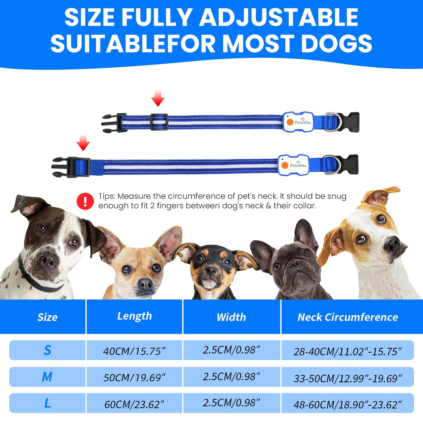 PetsVibe Illuminated Collar for Dogs. USB Rechargeable LED Flashing Dog Collar - Durable, High-Visibility, Eco-Friendly for Safe Night Walks