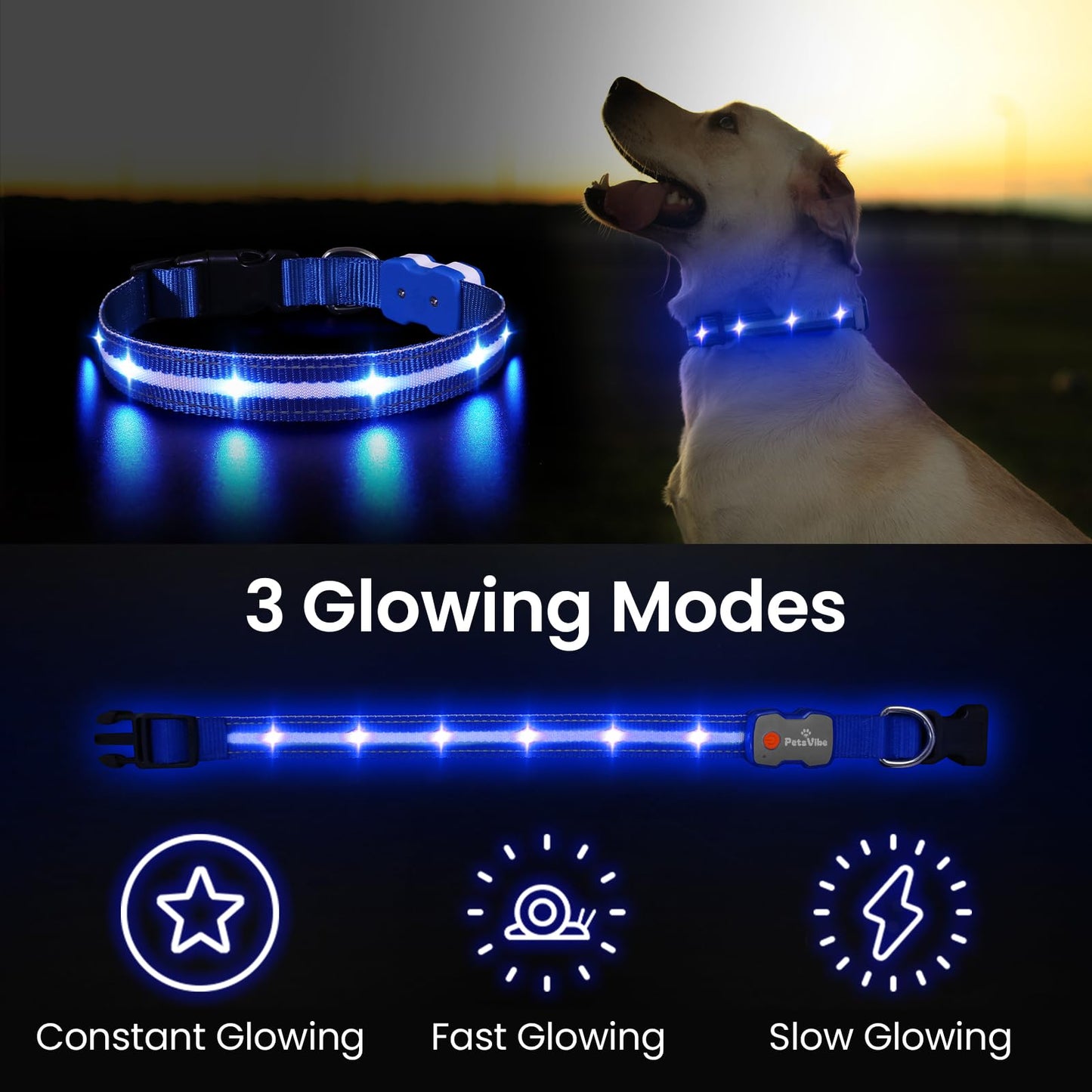 PetsVibe Illuminated Collar for Dogs. USB Rechargeable LED Flashing Dog Collar - Durable, High-Visibility, Eco-Friendly for Safe Night Walks