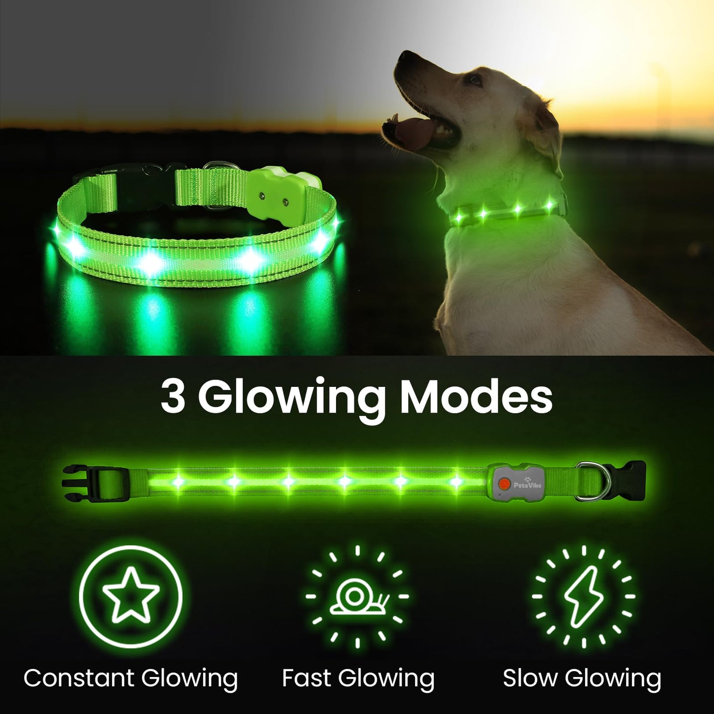 PetsVibe Illuminated Collar for Dogs. USB Rechargeable LED Flashing Dog Collar - Durable, High-Visibility, Eco-Friendly for Safe Night Walks