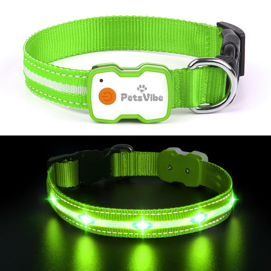 PetsVibe Illuminated Collar for Dogs. USB Rechargeable LED Flashing Dog Collar - Durable, High-Visibility, Eco-Friendly for Safe Night Walks